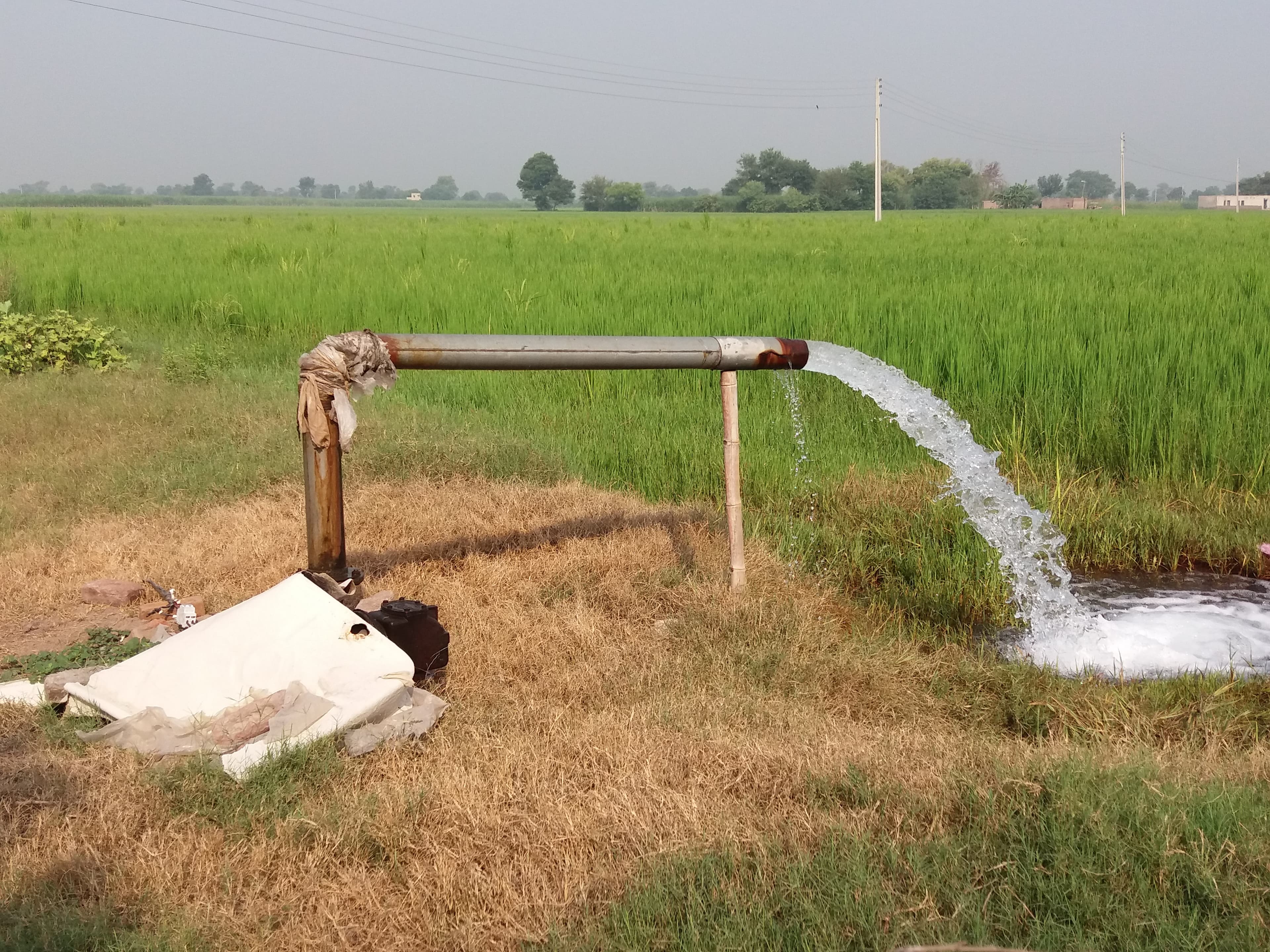 Multan project